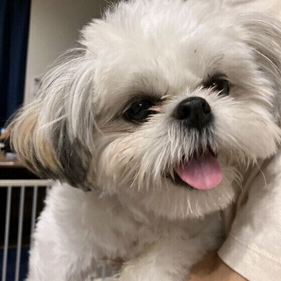 ���ä��򤷤Ƥ��äƴ򤷤����ʥ���������