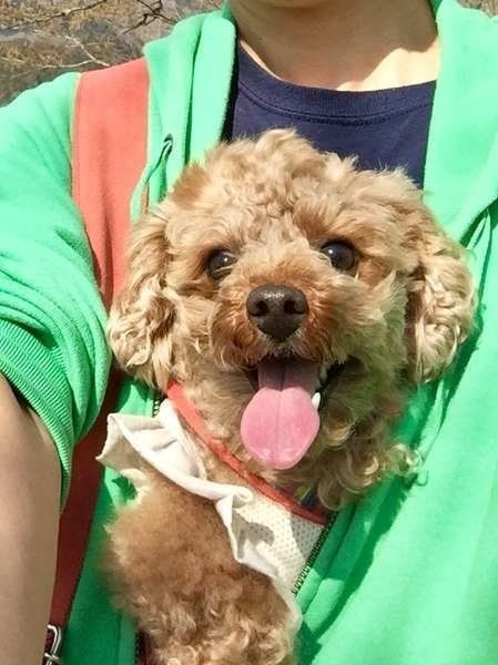 メロンちゃん