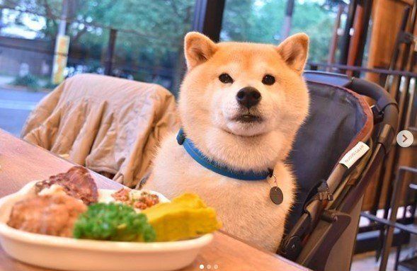 うしすけ