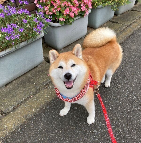 笑顔のまるちゃん
