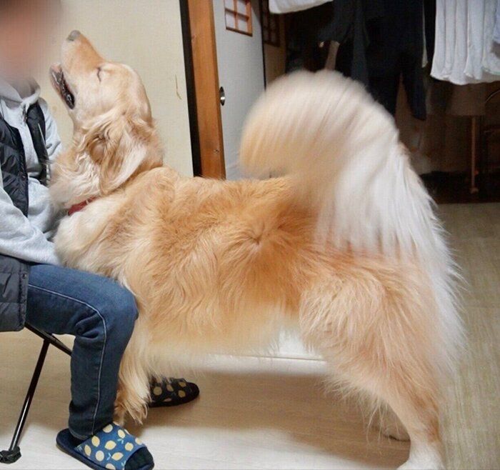 うれしそうな様子のイブくん