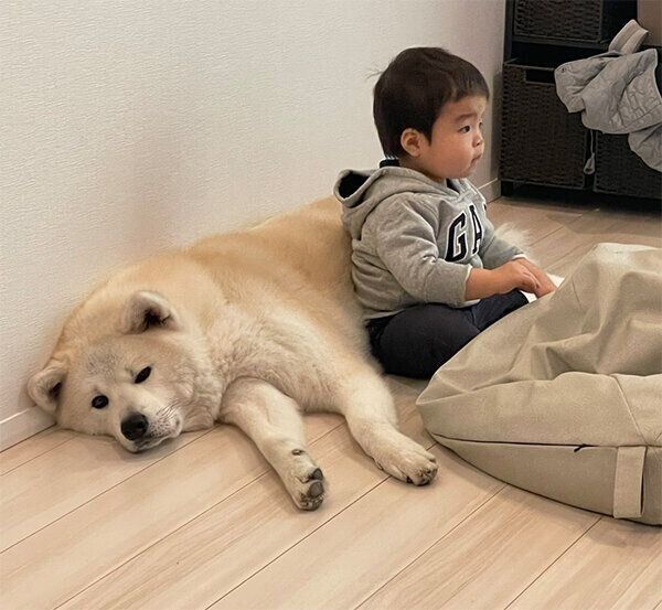 寄り添う凛太郎くんと弟くん