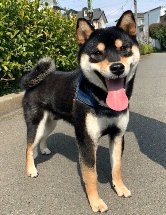 1才になった澄くん