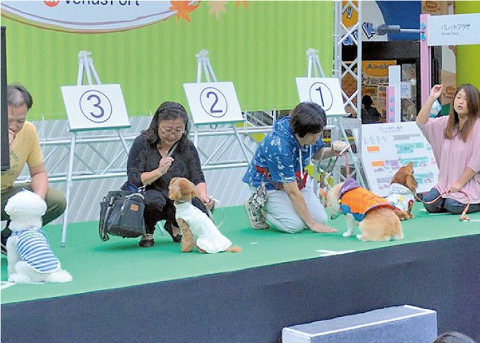 みんな集まれ~!あの!「イヌリンピック」や「おすわりマテ」にも参加できるチャンス!!