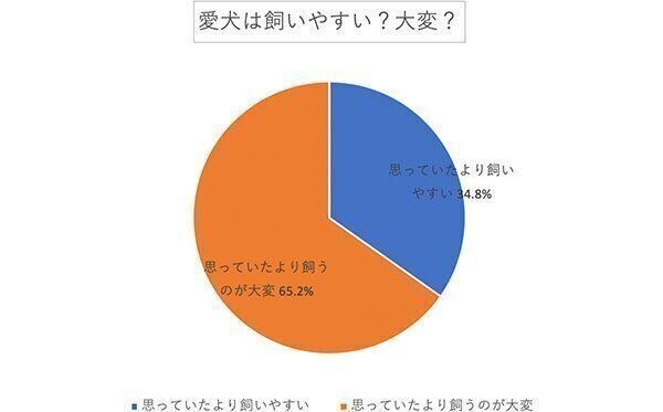 愛犬は飼いやすい? 大変?
