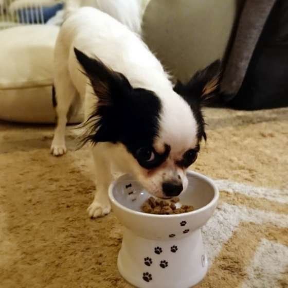 食事は元気の源!