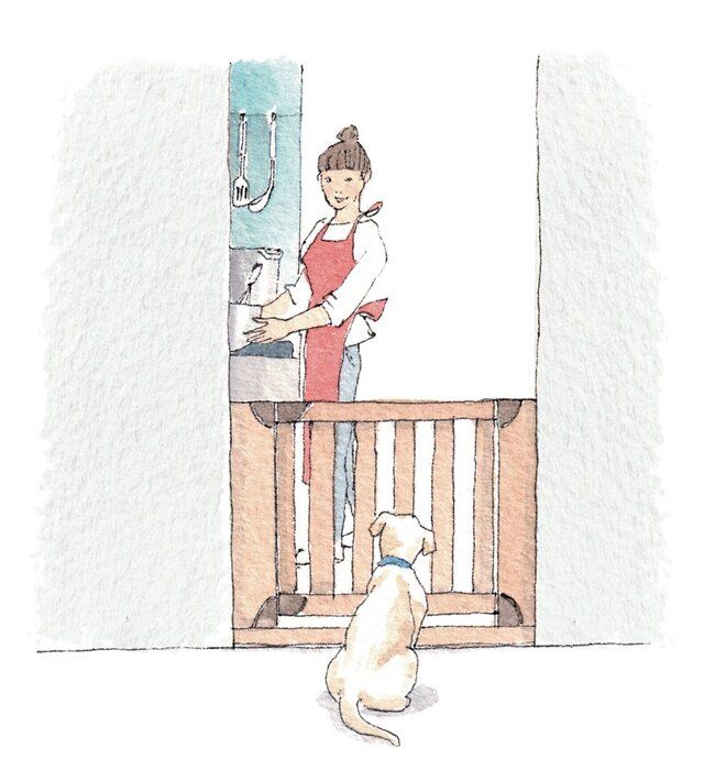キッチンは人の食べ物があったり、ゴミ箱が置いてあったりと愛犬が誤食しやすい環境。愛犬が入れないように柵をつけるなどしておくと安心です(イラスト/フジマツミキ)