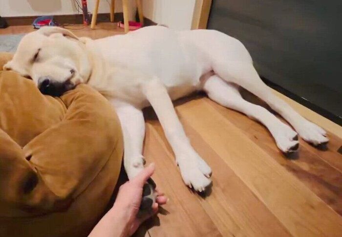 ���䥹��̲�뤳�ޤ����