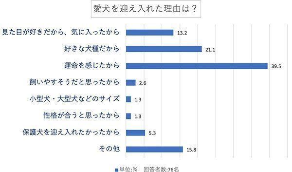 愛犬を迎え入れた理由は?