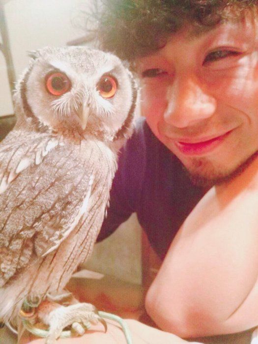 吉田山田・吉田さんとフクロウ