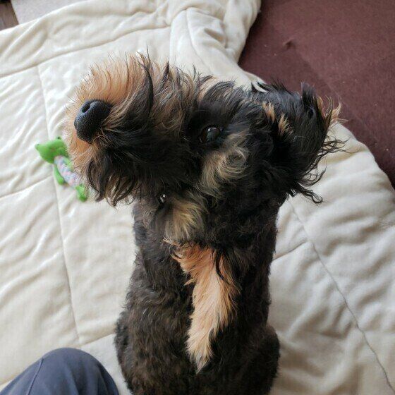 ミックス