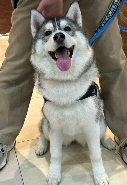 すくすくと成長している様子のゆきちゃん