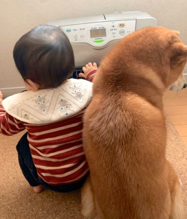 ストーブの前で寄り添うこたろうくんと弟くん