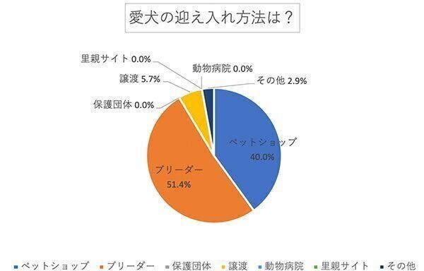 愛犬の迎え入れ方法は?