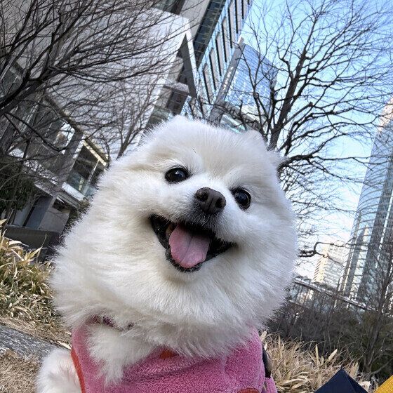 ニコニコでお散歩中♪