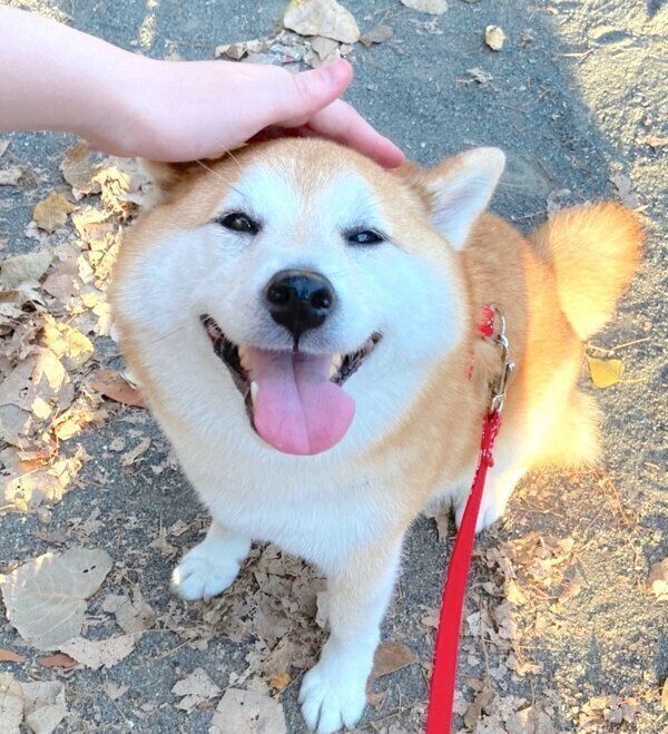 笑顔のまるちゃん