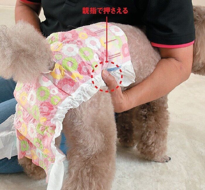 広げたあとは親指でしっかり押さえましょう