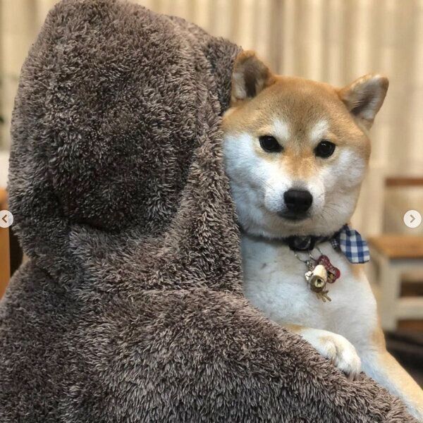 抱っこしてもらうラテくん