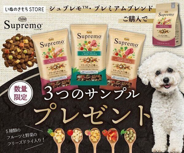 いぬのきもちweb Magazine もっと犬が好きになる