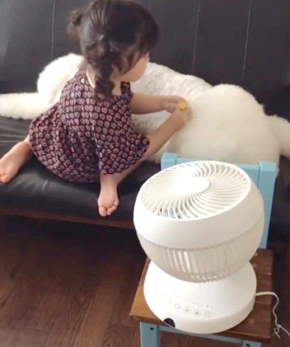 お医者さんごっこをするスタンダード・プードルと女の子