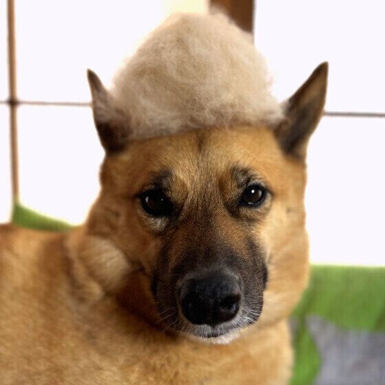 ���δ��Ӵ����������ͳ �ޤ������Τ˸��δ��Ӵ����Ϥޤä��Ȥ��δ����к��ϡ� ���̤Τ����