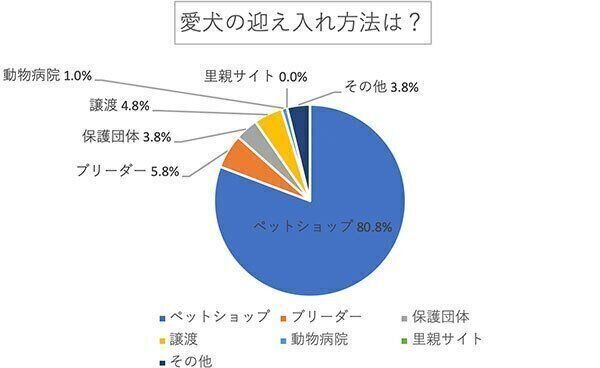 愛犬の迎え入れ方法は?
