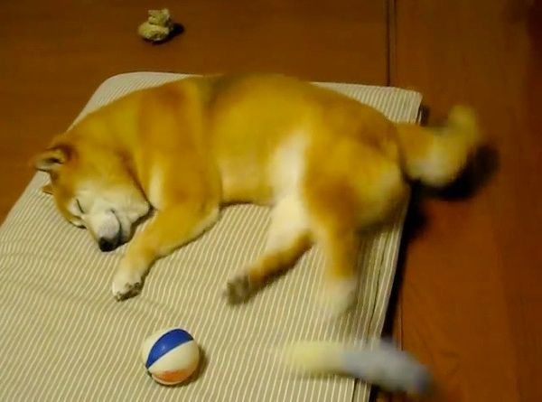 ノリノリ