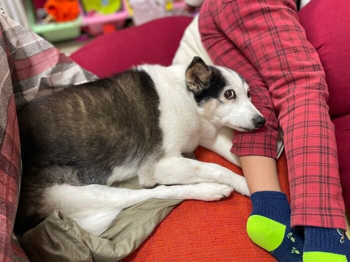 息子さんの足を枕にするこぶしちゃん