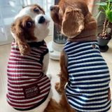 獣医師監修 犬の痙攣 けいれん 病院に行くべき症状の見分け方 いぬのきもちweb Magazine