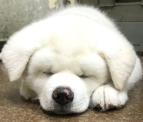 眠る心ちゃん