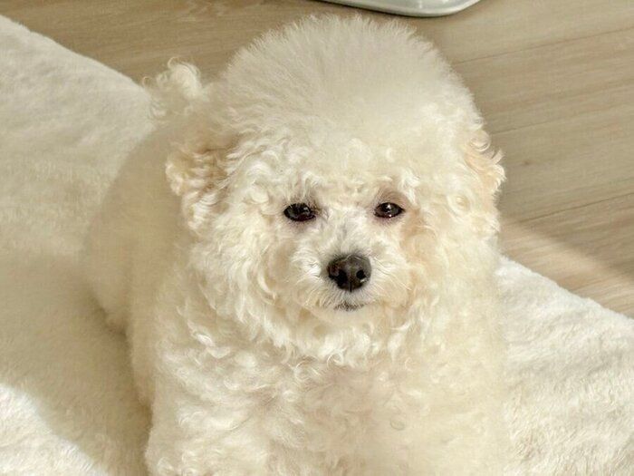 ���̤�����錄�������