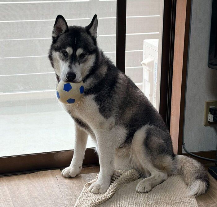 「外に出たい」と訴える銀慈くん