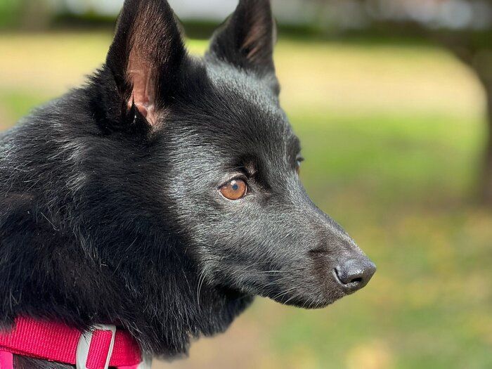 横顔が“イケメン”すぎるごまめくん