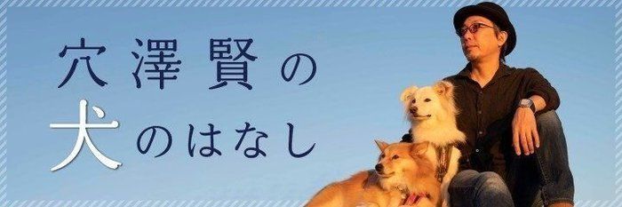 犬と車中泊の旅の総括と反省点【穴澤賢の犬のはなし】