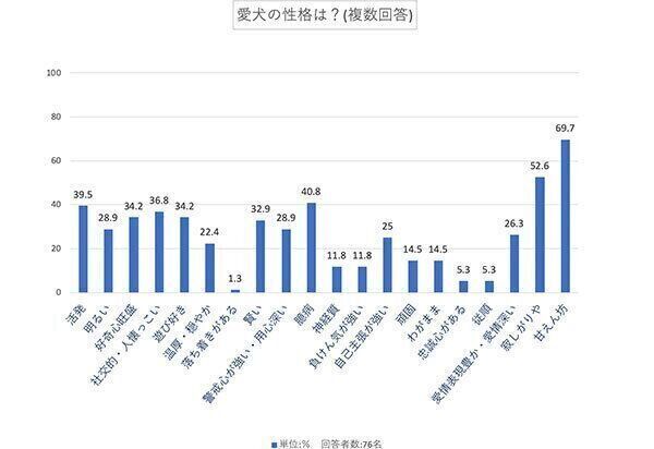 愛犬の性格は?