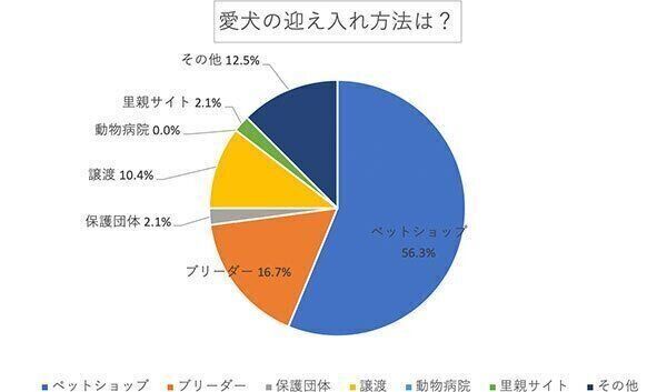 愛犬の迎え入れ方法は?