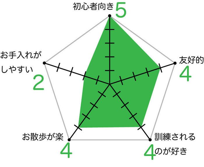 パピヨンのグラフ