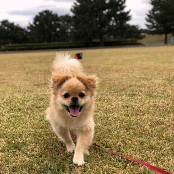 お散歩中!