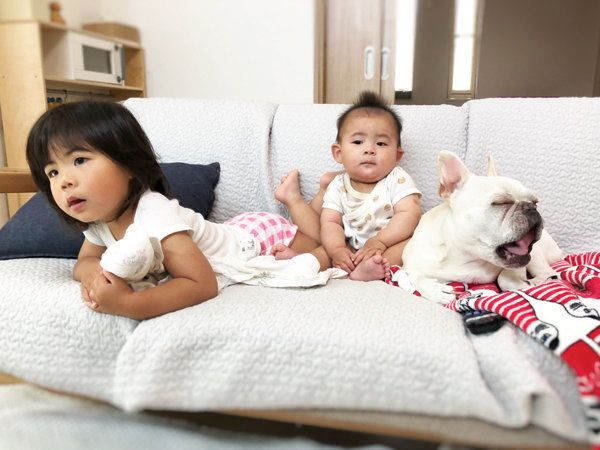 子どもと仲良しなフレンチ・ブルドッグ