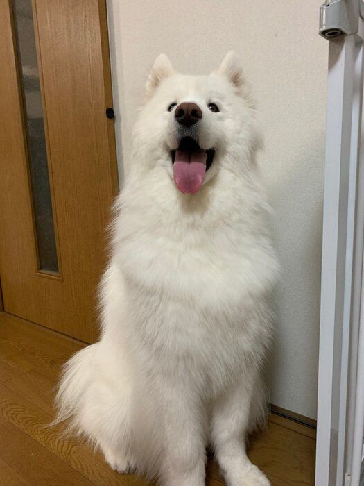 ꤷ뤴ӤԤäƤ25Υ⥨