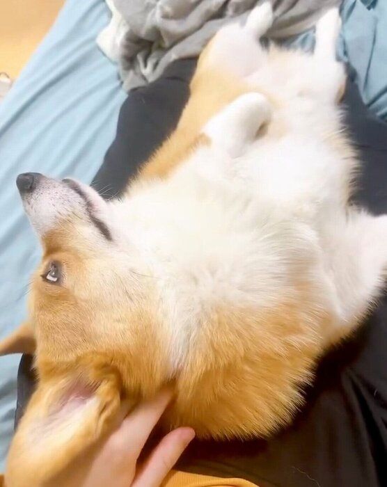1才7カ月のころに撮影した柊くん