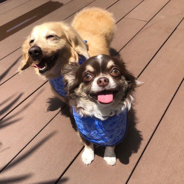 デッキにて
