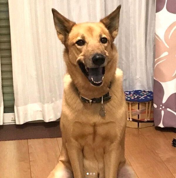 笑顔のこたろうくん