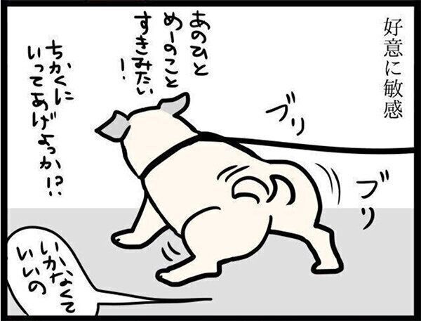 いぬのきもちWEB MAGAZINE『「あの人、めーのこと好き?」好意に敏感なパグ犬|連載「パグ犬・めー」vol.82』