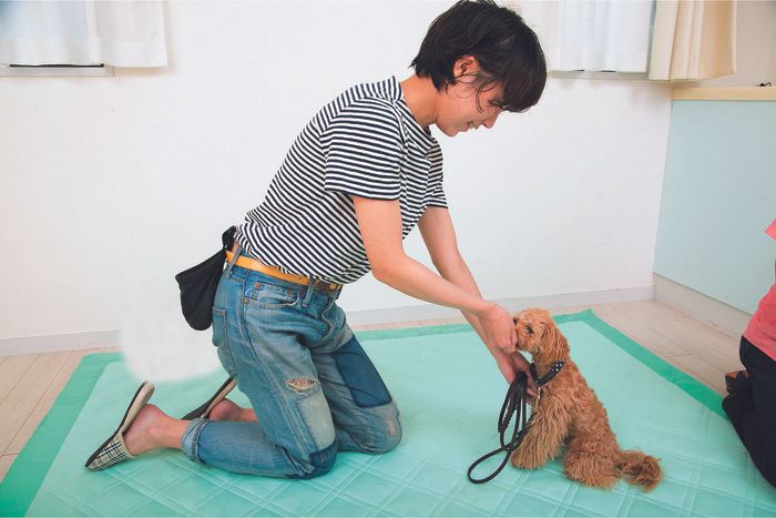 おすわり練習