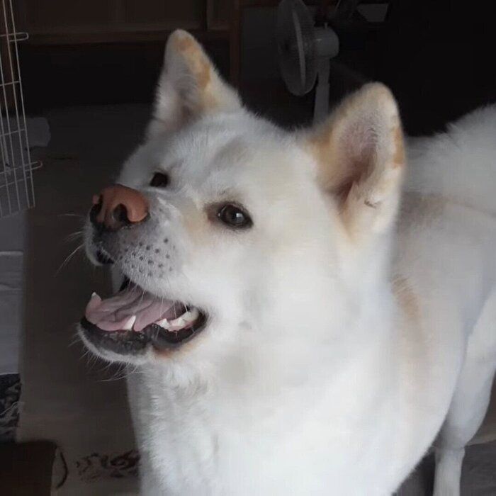 ワクワクしているゆうき君