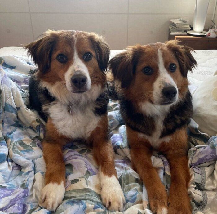 ְΥΥˤʤäƤ׷︤ȺƲɡ²ˤʤä2ǯд餢դ˴