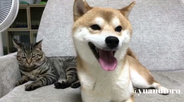 ゆうとろ