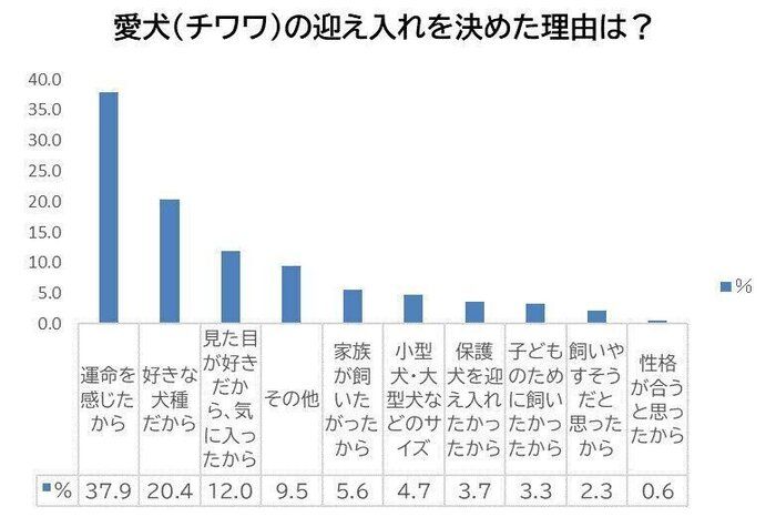 愛犬を迎え入れた理由は