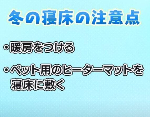 いぬのきもち塾_【犬の睡眠対策05】